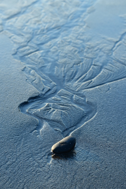 2018-11 Scotland/Talisker/DSC_7398.JPG